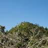 P4290215