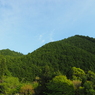 P4300002