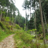 P4300006