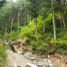 P4300007
