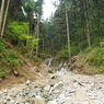 P4300008