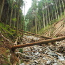 P4300012