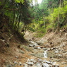 P4300013