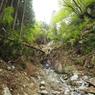P4300016