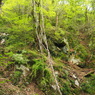 P4300017