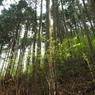 P4300018
