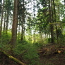 P4300029