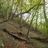 P4300030