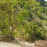 P4300039