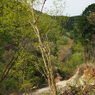 P4300043