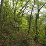 P4300050