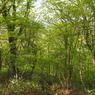 P4300059
