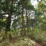 P4300063