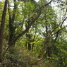 P4300064
