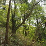 P4300065