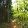 P4300066
