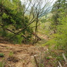 P4300071