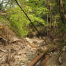 P4300139