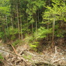 P4300140