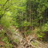P4300141