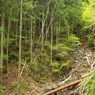 P4300142