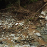 P4300144