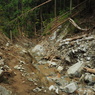 P4300146