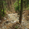 P4300152