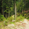 P4300153