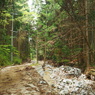 P4300155