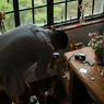 照れ喜ぶ花たち