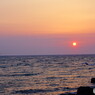 鳥と夕陽