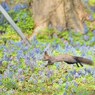 春がどこかに行っちゃう前に