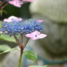 DSC01120