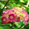 DSC01152-1