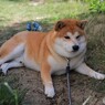 休み時間