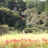 岩の下観音