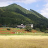 蓑沢地区