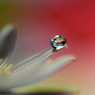 イマジネーションを貴方に♪