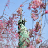 お台場の自由の女神と桜