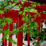 高城神社