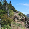 根子岳から四阿山への縦走路