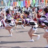 阿波踊り～女ハッピ踊り①