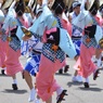 阿波踊り～女と男①