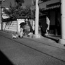 奈良町・景　№17