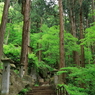 石段（山寺/宝珠山立石寺）