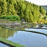 長閑な山里