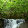 新緑で一休み