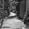 鳩の道案内