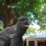 狛犬_駒込天祖神社